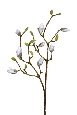 Magnolia knoppen l90cm wit kunstbloem Louis Maes - Louis maes