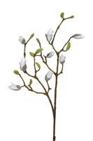 Magnolia knoppen l90cm wit kunstbloem Louis Maes - Louis maes