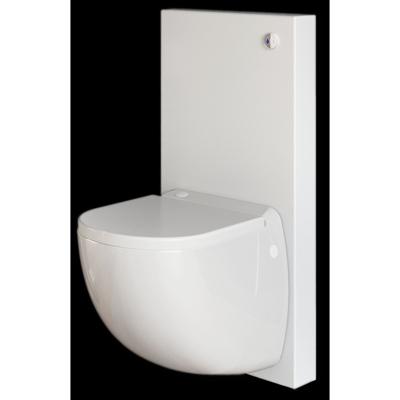 Wandcloset Sanicompact Sanibroyeur Comfort Box Fecaliënvermaler Softclose Zitting Glans Wit
