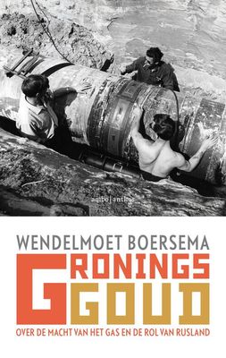 Gronings goud - Wendelmoet Boersema - eBook (9789026344664)