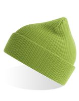Atlantis AT116 Nelson Beanie - Leaf-Green - One Size