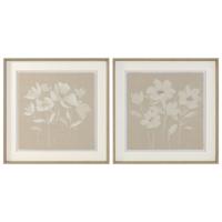 Schilderij Home ESPRIT Wit Beige Blommor Shabby Chic 62,5 X 3,8 X 62,5 CM (2 Stuks)
