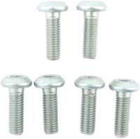 TRW bouten set screw set 6pcs. m8x1,25