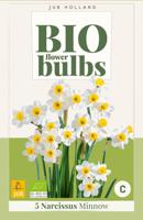 Bio narcis minnow 5 bollen