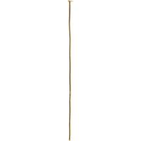 Creativ Company Nietstift, l: 50 mm, goud, 30 stuk/ 1 doos