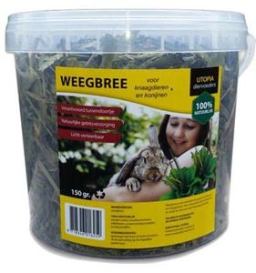 Utopia weegbree (150 GR)