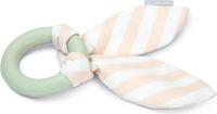 BZ PUPPY RUB KAUWRING TJUWA MINT 8,5