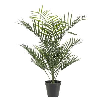 Goudpalm buitenplant h90cm groen - Emerald