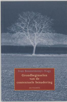 Grondbeginselen van de contextuele benadering (Paperback)