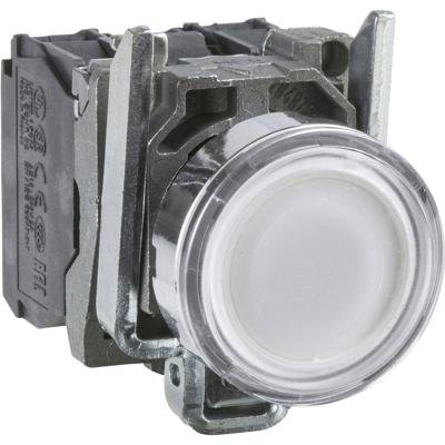 Schneider Electric XB4BW31G5 XB4BW31G5 Verlichte druktoets 600 V 6 A Moment (l x b x h) 57 x 30 x 47 mm IP66, IP67, IP69, IP69K 1 stuk(s) Schneider Electric XB4BW31G5 XB4BW31G5 Verlichte druktoets 600 V 6 A Moment (l x b x h) 57 x 30 x 47 mm IP66, IP67, IP69, IP69K 1 stuk(s)