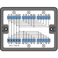 WAGO 899-631/313-000 Verdeeldoos 899 25 A Zwart 1 stuk(s)