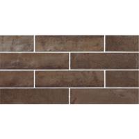 Wandtegel Magnetism Corten 6.3x25 cm Stardos