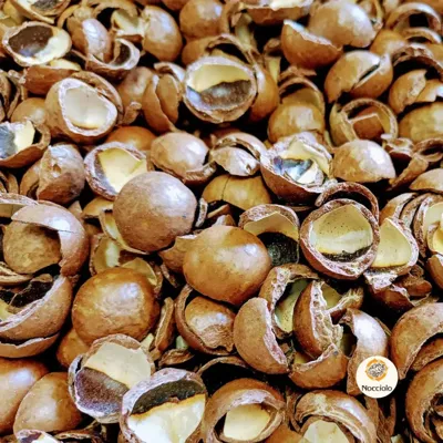 Macadamia doppen 20 liter
