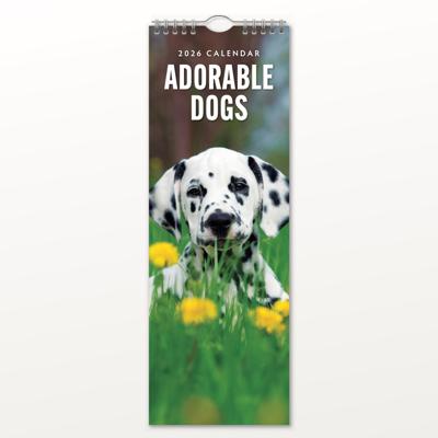 Adorable Dogs Slimline Kalender 2026