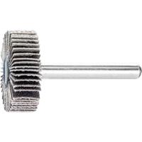 PFERD TOOLS 44407156 Lamellenslijper Diameter 30 mm 10 stuk(s)