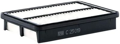 Luchtfilter C25019