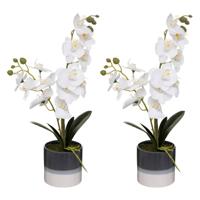 Atmosphera Orchidee bloemen kunstplant in sierlijke blauwe bloempot - 2x - witte bloemen - H45 cm - Kunstplanten - thumbnail