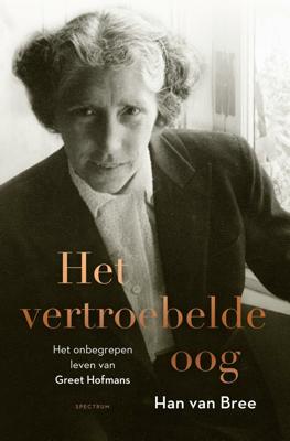 Het vertroebelde oog (Hardback)