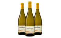 Domaine la Gemiere les Montées Blanches Sancerre Probeerpakket (3 fl.)