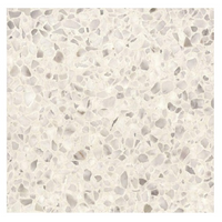 Terre d´Azur Granito terrazzo vloertegel ferrara 40x40 gerectificeerd - thumbnail