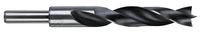 Milwaukee Accessoires Houtboor 16 x 151 mm - 4932363664