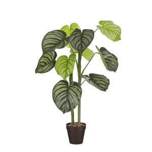 Mica Decorations Caladium Kunstplant - H100 x Ø50 cm - Lichtgroen