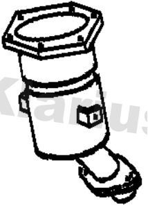 Katalysator 321705