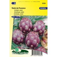 Artisjokken Violet de Provence - thumbnail