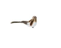 Vogel op clip foam 6 cm bruin met licht bruine kop Vogel op clip foam 6 cm bruin met licht bruine kop