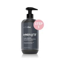 Difiaba Charcolite Cool Toning Anti-Brass Shampoo met Pomp
