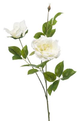 Rose liza spray x3 white 80 cm - Emerald