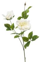 Rose liza spray x3 white 80 cm - Emerald
