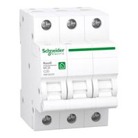 Schneider Electric R9F28320 Zekeringautomaat