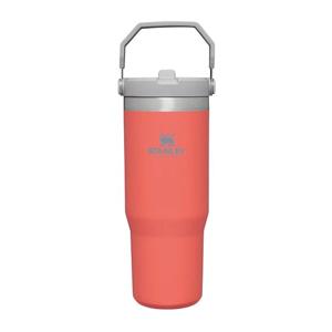 Stanley The IceFlow™ Flip Straw Tumbler - 890ml - Guava