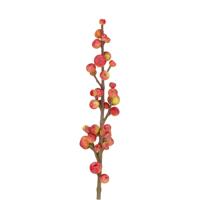 Kunst Bessentak 88cm Rood/groen