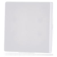 16206089  - Cover plate for switch/push button white 16206089 - thumbnail