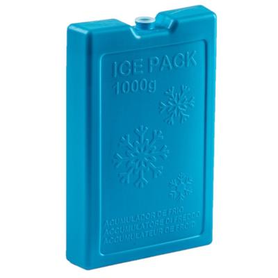 Koelelementen van 1000 gram - blauw - 22 x 14.5 x 3.5 cm - voor koeltas en koelbox