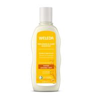 Haver herstellende shampoo