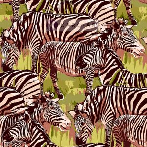 Karo-art Schilderij - Zebra op de savanne, prachtige tekening op canvas geprint, Multikleur , 3 maten, Premium print