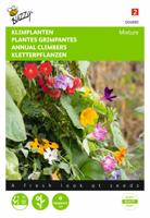 Klimplantenmengsel - Buzzy