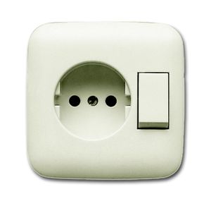 Busch-Jaeger combinatie wandcontactdoos 1-voudig zonder randaarde en wisselschakelaar inbouw creme