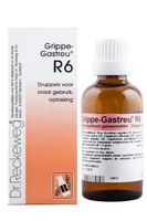 Reckeweg Grippe gastreu R6 (50 ml)