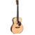 Sigma Guitars SOMR-28M akoestische western gitaar met softcase