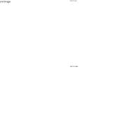 OnePlus 13 | Bookcase | Marmer Oranje