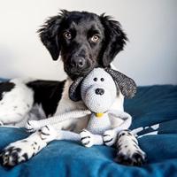 Knuffel Hond Max Haakpakket