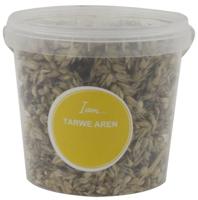 TARWE AREN TARWE AREN