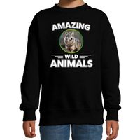 Sweater wolven amazing wild animals / dieren trui zwart voor kinderen - thumbnail