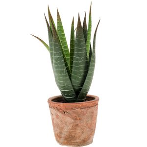 Kunstplant Aloe Vera - groen - in oude terracotta pot - 23 cm