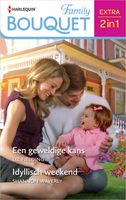 Een geweldige kans / Idyllisch weekend - Shannon Waverly, Liz Fielding - ebook - thumbnail