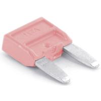 TRU COMPONENTS 8551256 Ministeekzekering (auto) 4 A Roze 1 stuk(s) - thumbnail